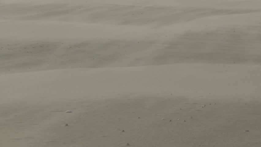 Drifting sand in the wind