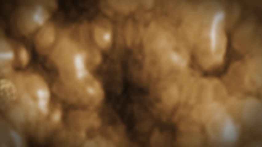 Inside human body,fat cells,highly detailed texture