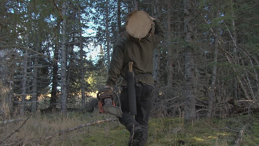 Man preparing for winter hauling wood out of forest.