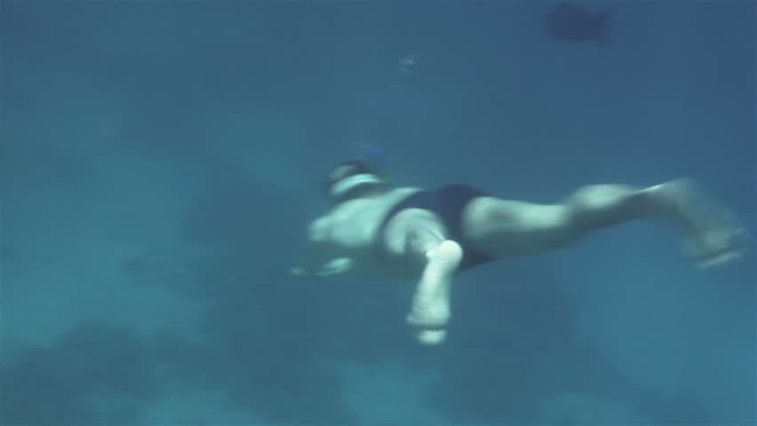 man diver swims among the corals of the red sea