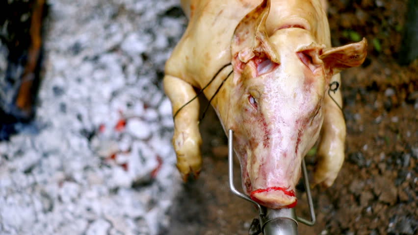 SUPER 35MM CAMERA - Pig on a spit. 