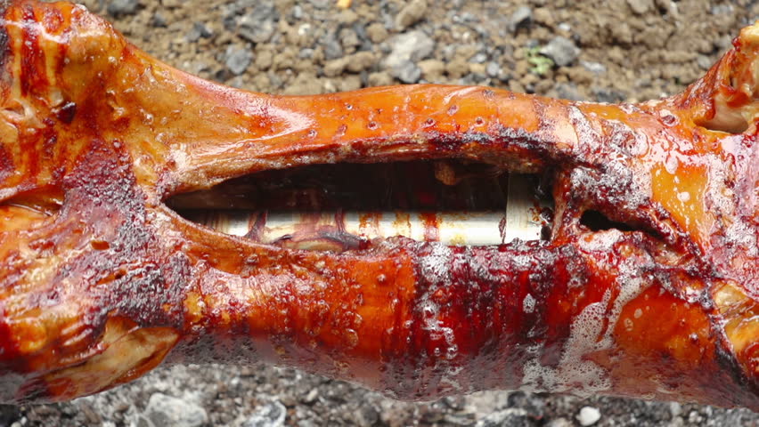 SUPER 35MM CAMERA - Pig on a spit. 