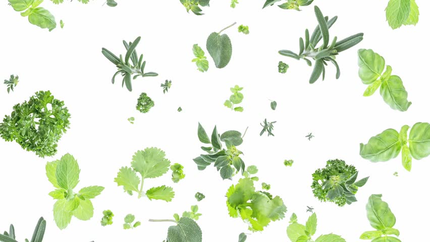 Herbs falling down on white background (ends on blue)