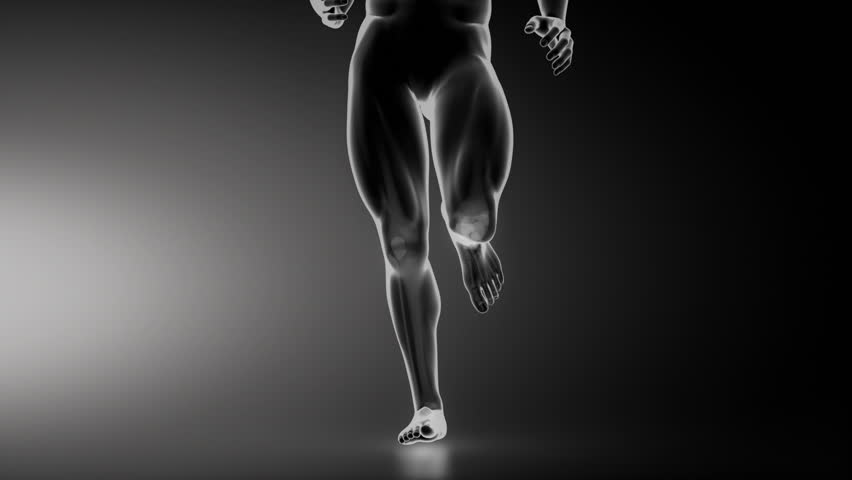 Running man with knee joint detail anterior view
