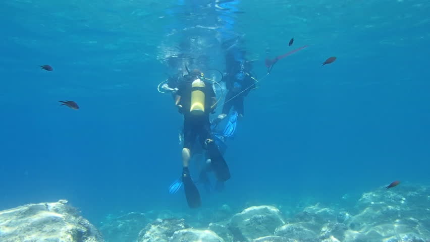 Learning to Scuba Dive