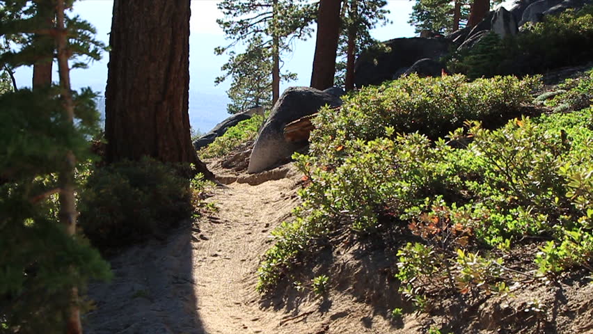 A mountain bike rushes down an off road trail with lots of trees and bushes during the day, filmed at the Lake Tahoe National Park in HD