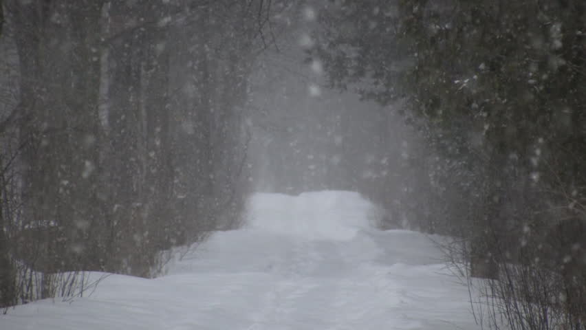 A winter scenic of a snowy blizzard blowing through a park (High Definition)