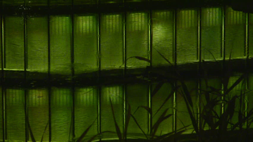 neon builing reflexion in the water