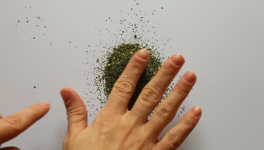 Young adult woman makes Valentines heart out of dry dill.
