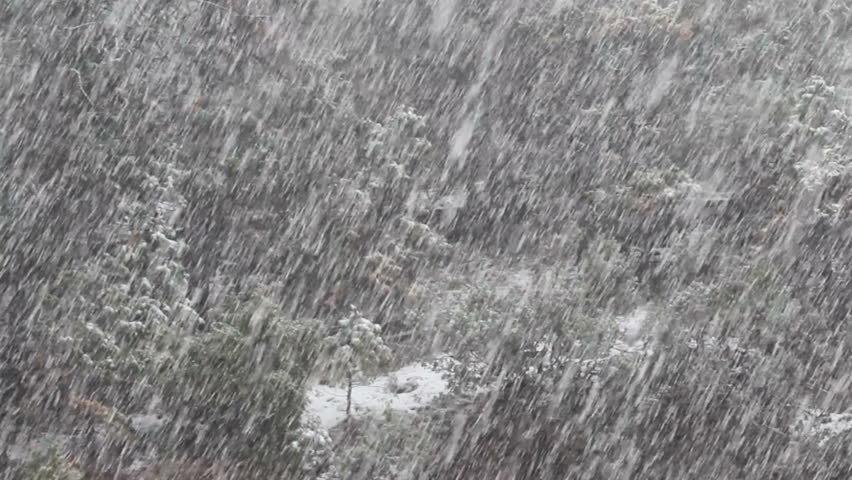 Heavy falling snow in Yosemite National Park, California, USA