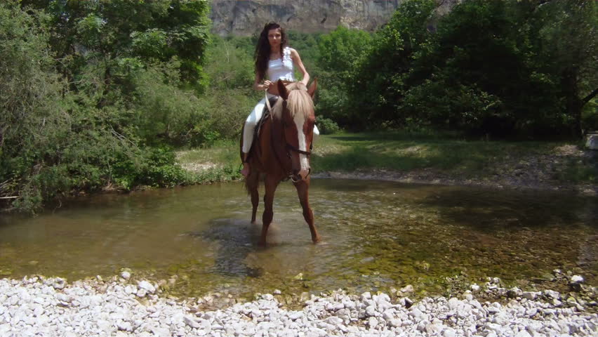 Brown stallion crossing a river.