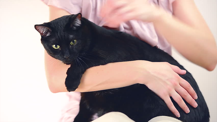 Young woman caress her big black calm cat at home