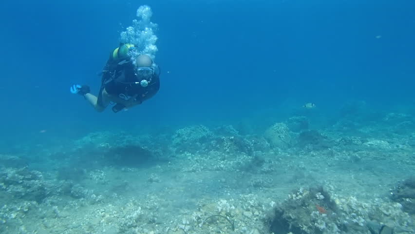 Footage of a Scuba Diving in clear water