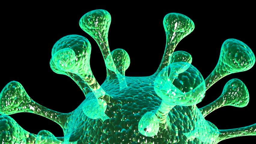 microbe