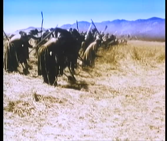 Group of farmers beating locusts with shovels in corn field