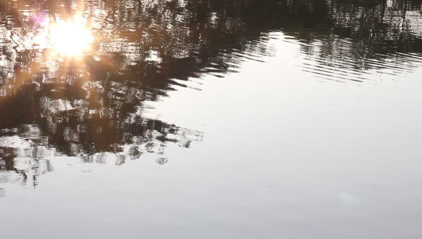 Reflexes of nature in lake's water