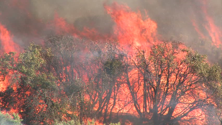 Wildfire Flames, Forest Fully Engulfed by Fire 2