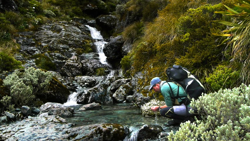 a hiker drinks fresh water from a pure mountain stream in new zealand