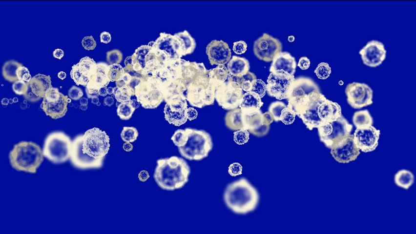 cells & virus,dust particles.