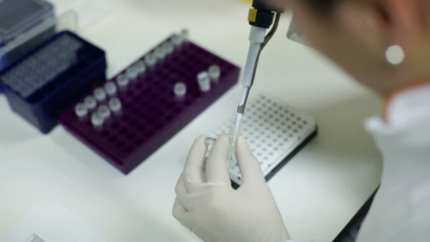 DNA research in the Department of Microbiology in a hospital