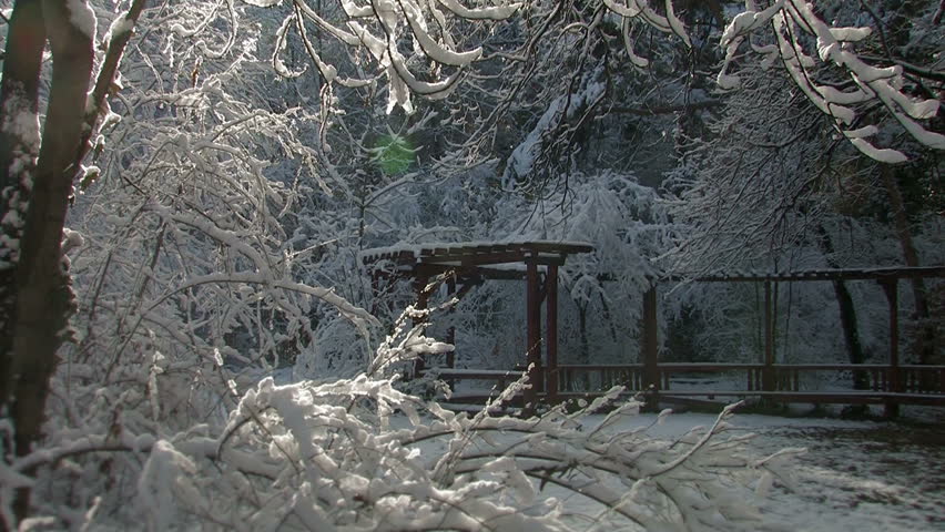 Dolly shot of a snowfall in the forest with sun rays hitting the lens.  