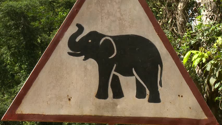 Caution Elephant!