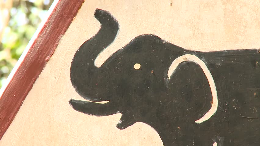 Caution Elephant!