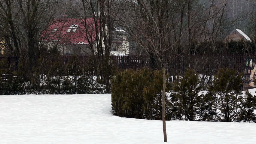 snow fall Full HD progressive video