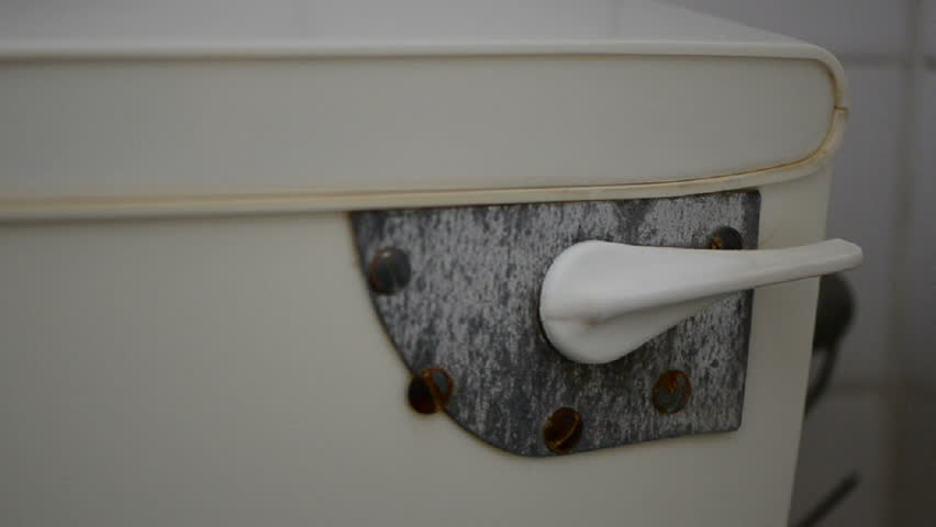 toilet flush handle