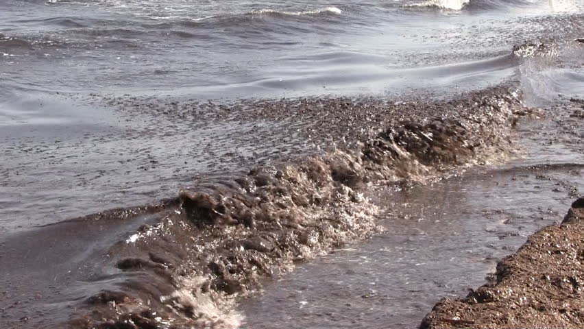 Spain - algae on the beach