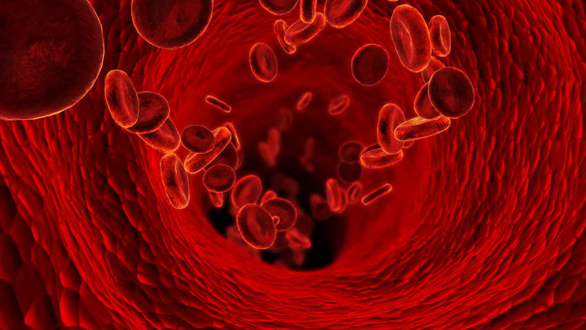 3D blood cells in vein.