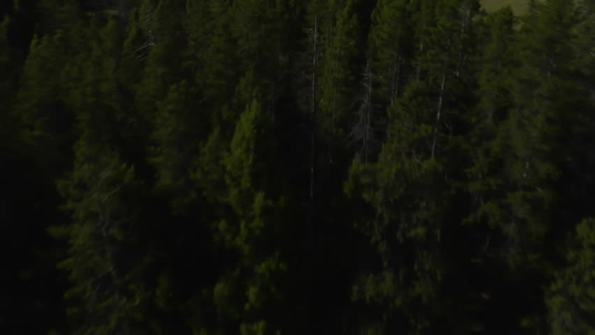 aerial shot of sagebrush pastureland with mountains tilt up