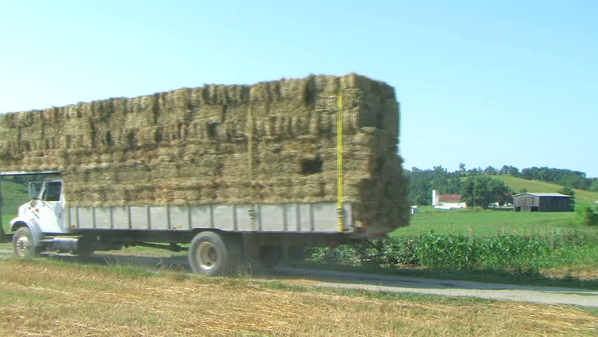 Farmer hauling load of square hay bales down road in country. 