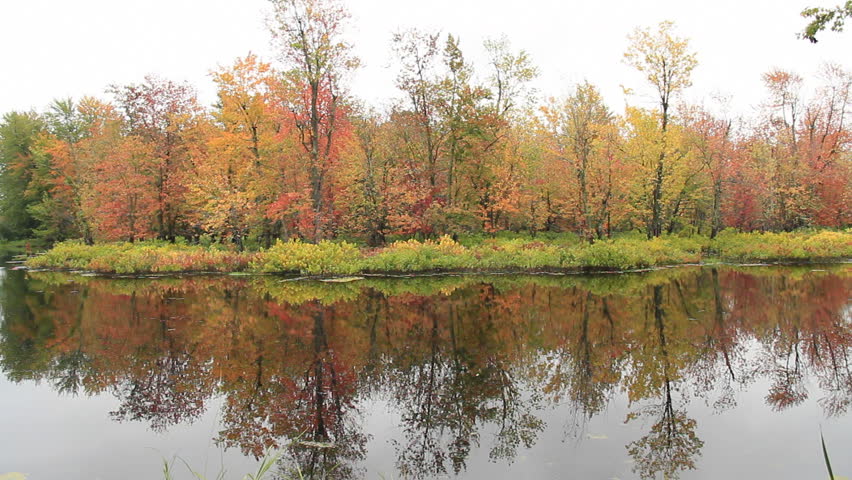 Vermont October 3. A tranquil nature scene in northern Vermont on a cloudy Autumn day.