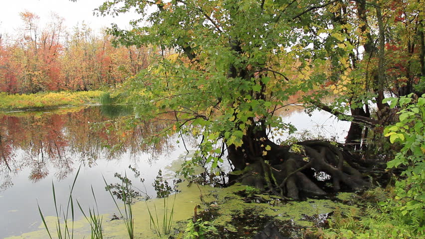 Vermont October 1. A tranquil nature scene in northern Vermont on a cloudy Autumn day.