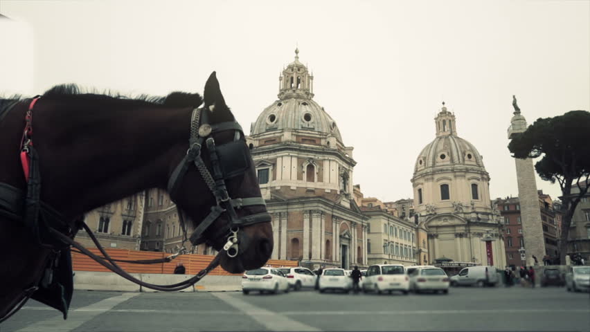 Horse with the reins of the carriage waiting for tourists to show them the landmarks of Rome