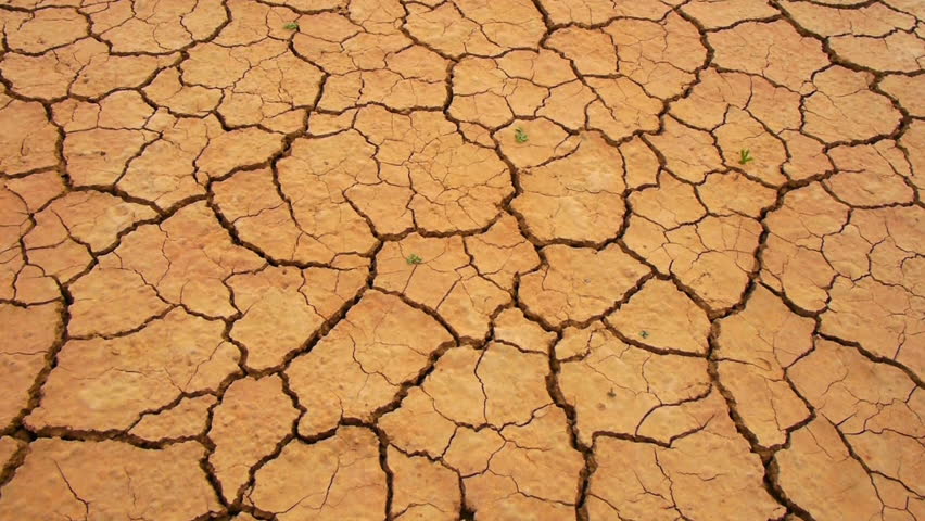 Cracked Dry land in a desert