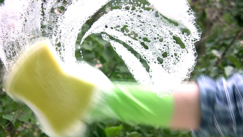 Women's gloved hand soap washes off the glass and soap on a background of bright green trees