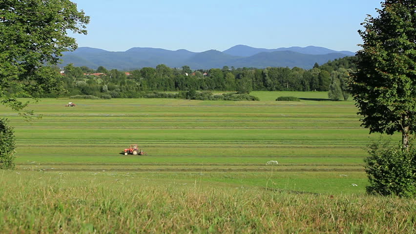 Tractors in the field