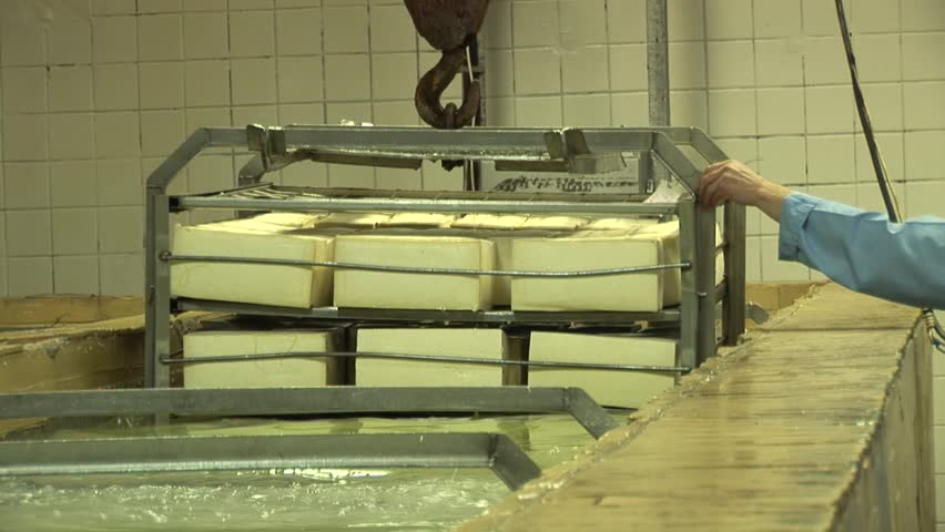 Plant for the production of cheese. 