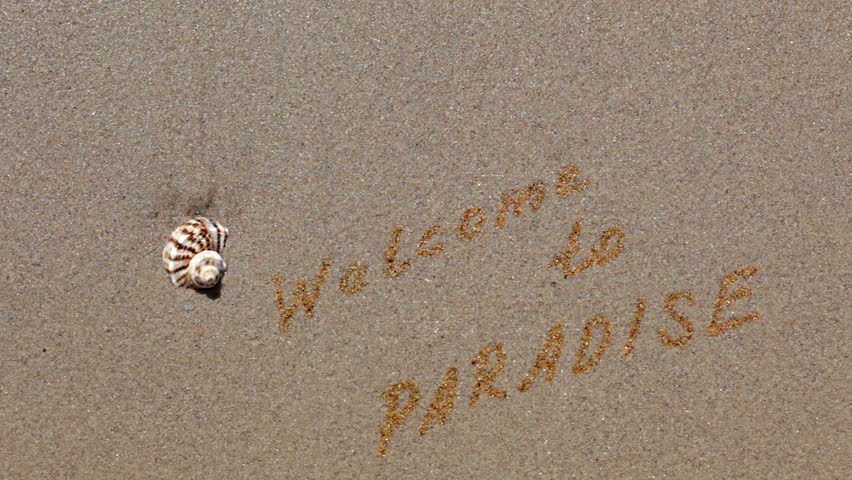 Clean beach sand. Seashell is on the sand. The words are written by the golden sand. The wave arrives and leaves two times. Air bubbles and words sparkle in the sunrays