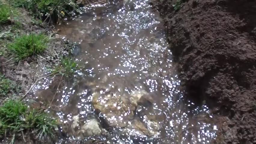 View of winding brook, song of brook