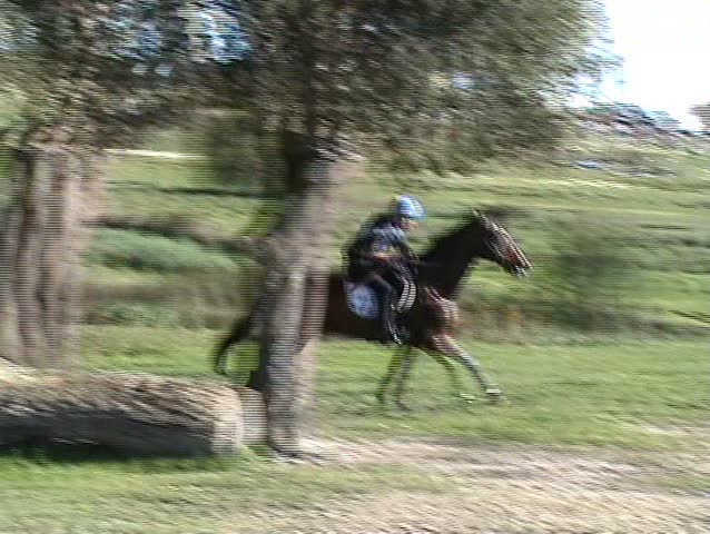 Horseman jumping the fence for the water