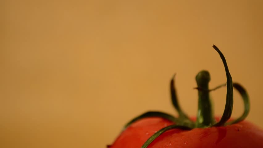 Tomato - Crane Down
