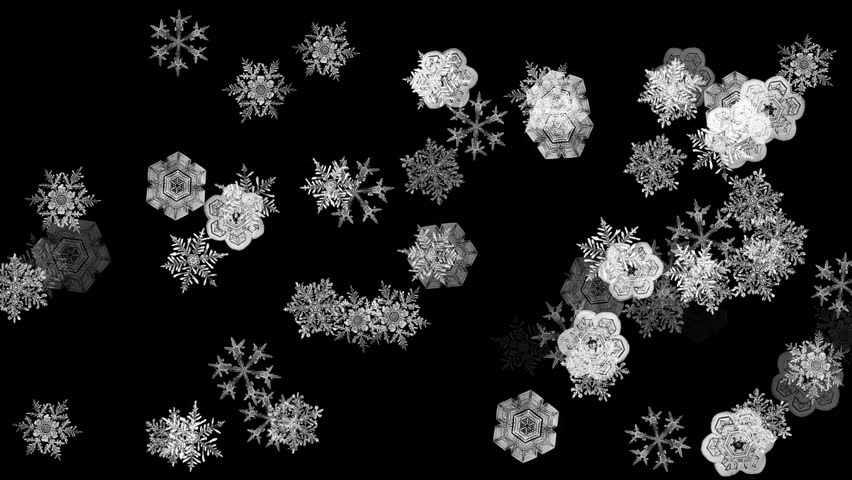 Digital Snow Flakes