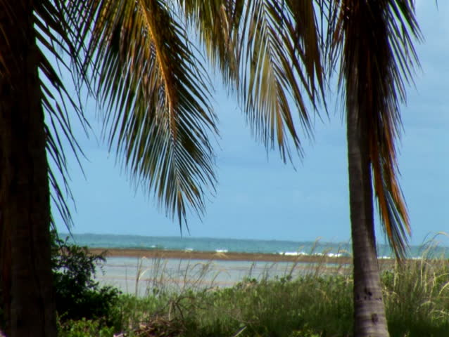 View of Sea through 2 palm trees (133)