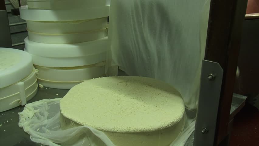 Making cheese: Cheese maker wraps newborn cheese which is  rubbery in texture, in fresh linen cloth.