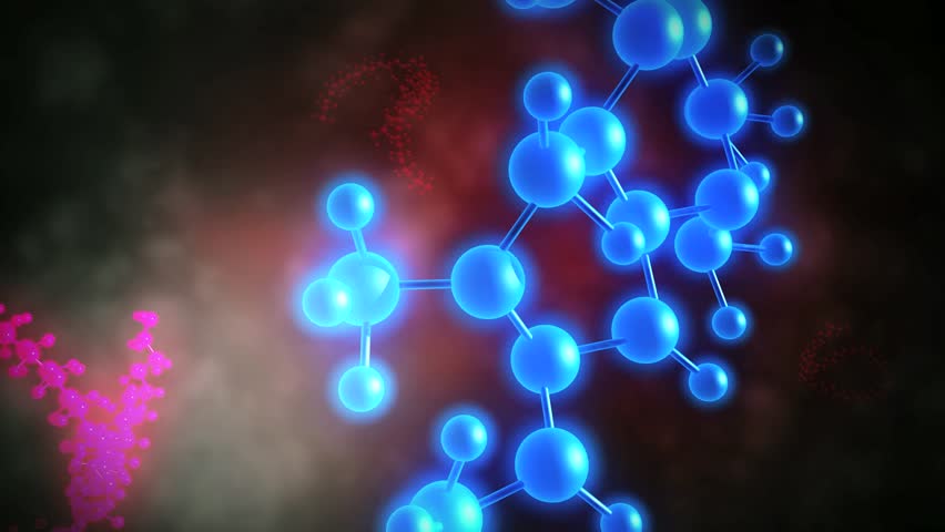 Antioxidants - These are vitamins and minerals, whose molecules have "extra" electrons. These electrons, they can give free radicals, neutralizing their destructive effect and preventing cell damage.