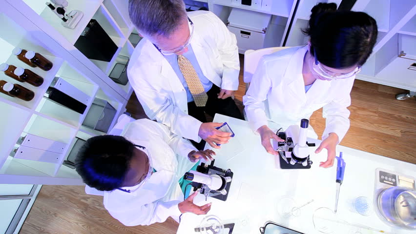 Multi ethnic medical researchers examining research results on microscope glass slides