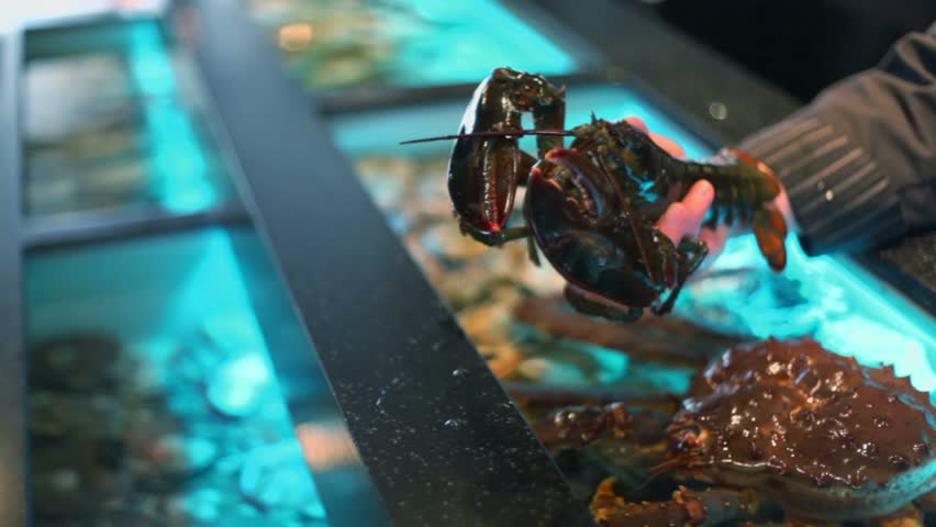 Restaurateur shows living river crawfish and puts them in aquarium near crab